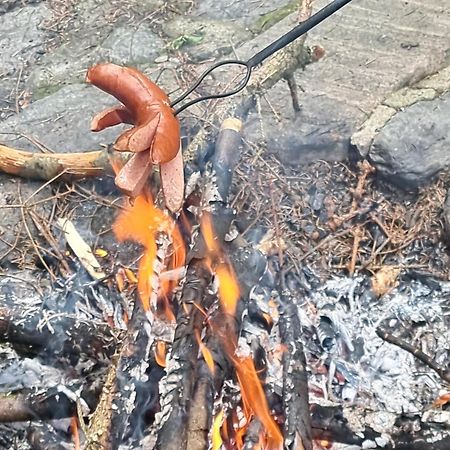 Roubenka Mlyn U Skaly Destne V Orlickych Horach Volne Terminy 5 Bytu Εξωτερικό φωτογραφία