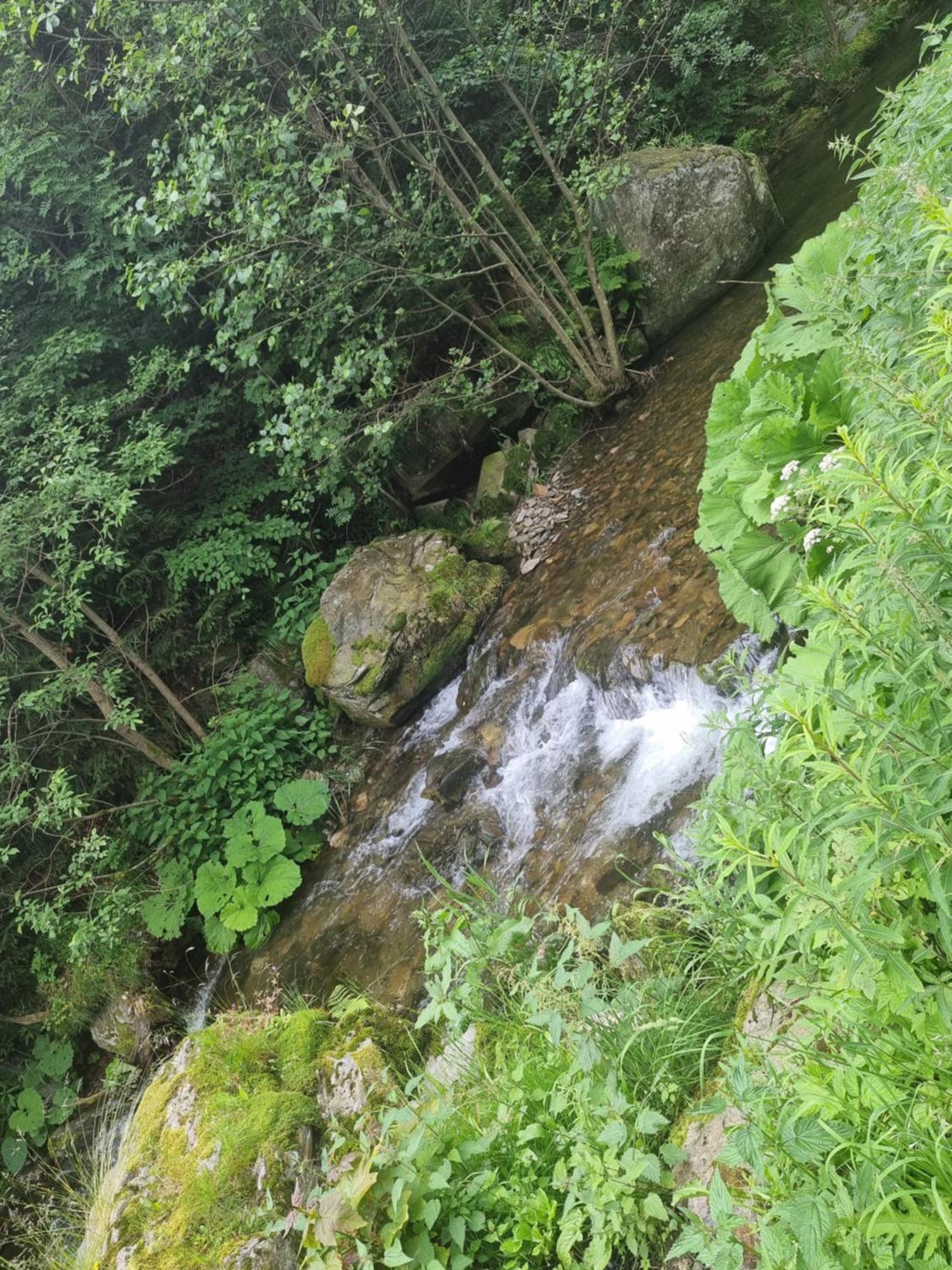 Roubenka Mlyn U Skaly Destne V Orlickych Horach Volne Terminy 5 Bytu Εξωτερικό φωτογραφία