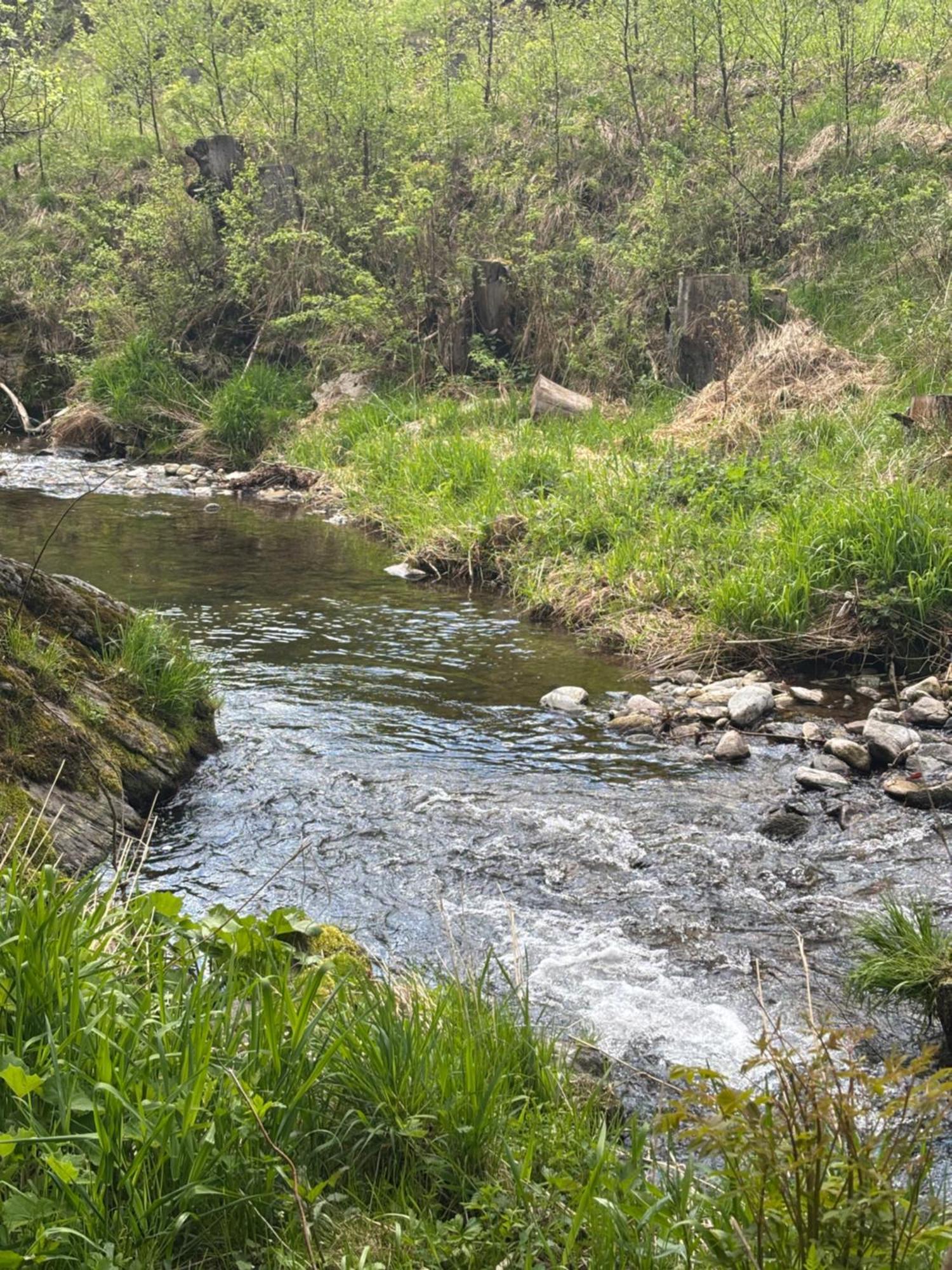 Roubenka Mlyn U Skaly Destne V Orlickych Horach Volne Terminy 5 Bytu Εξωτερικό φωτογραφία